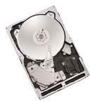 Seagate ATLAS 10K V 300GB U320 (8D300L0) Seagate ATLAS 10K V 300GB U320 (8D300L0)